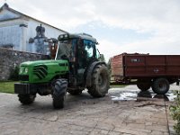 2015 reportage-14 : Friuli, Paesaggio, Vendemmia